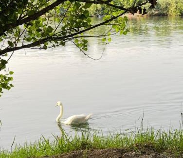 Bosanska Dubica Apartment | Apartmani Una Lux2