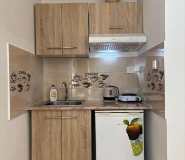 Sturovo House | Apartmanovy dom Grand