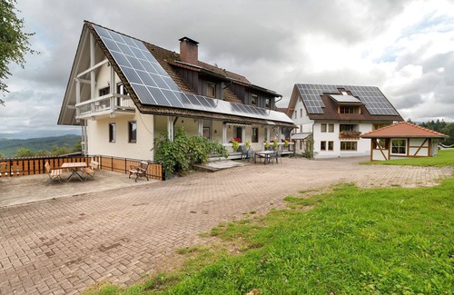 Bad Peterstal-Griesbach Apartment | Apartment '5' with Mountain View, Shared Terrace and Wi-Fi