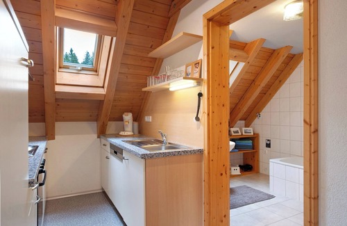 Schonach im Schwarzwald Apartment | Apartment 'Großzügiges Rehblick 75qm' with Shared Garden