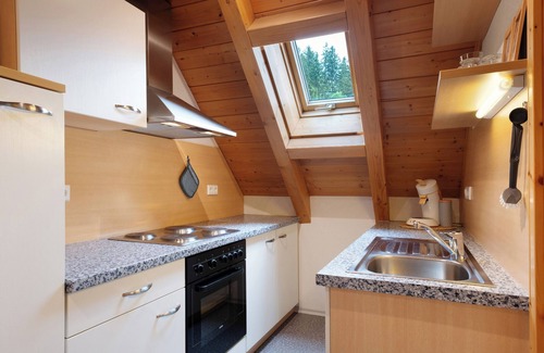 Schonach im Schwarzwald Apartment | Apartment 'Großzügiges Rehblick 75qm' with Shared Garden