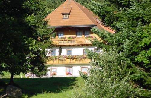 Schonach im Schwarzwald Apartment | Apartment 'Großzügiges Rehblick 75qm' with Shared Garden
