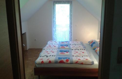 Bohinj Apartment | Apartment Žvan