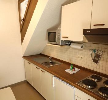 Todtnauberg Apartment | Apartment 17 - Ferienresidenz Roseneck, Galeriewohnung, mit Schwimmbad in Todtnauberg bei Feldberg