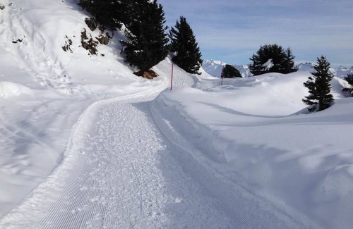 Riederalp Apartment | Apartment ∙ 3 bedrooms ∙ 6 guests