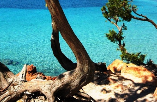 Pinarellu Apartment | Apartment/4 people - near Porto Vecchio - 500 mt from the sea