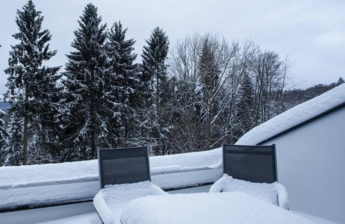 Winterberg Apartment | Apartment (42sqm) with balcony