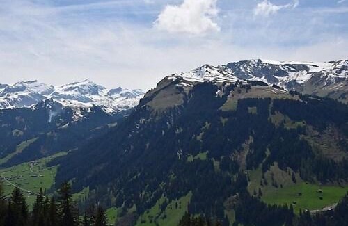 Lenk Apartment | Apartment Alphütte Gibelhüttli