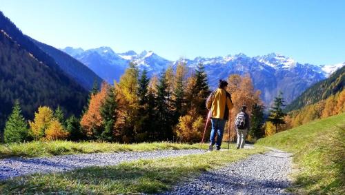 Oetztal-Bahnhof Apartment | Apartment Amberg