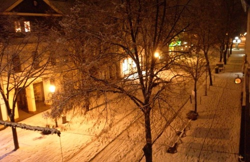 Bernburg Apartment | Apartment / app. for 3 guests with 40m² in Bernburg (Saale) (96359)