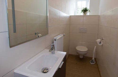 Aftersteg Apartment | Apartment / app. for 4 guests with 66m² in Todtnau (117502)