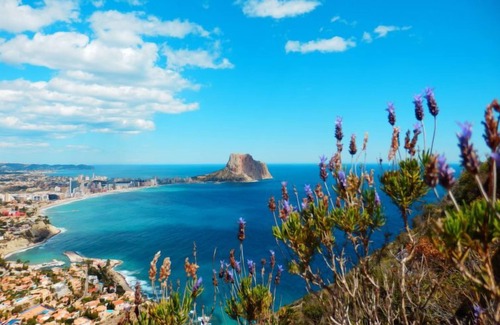 Calpe City Center Apartment | Apartment Arenal in Calpe/Calp - 2 persons, 1 bedrooms