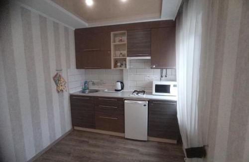 Dnipro Apartment | Apartment at Kirova (A.Polia)