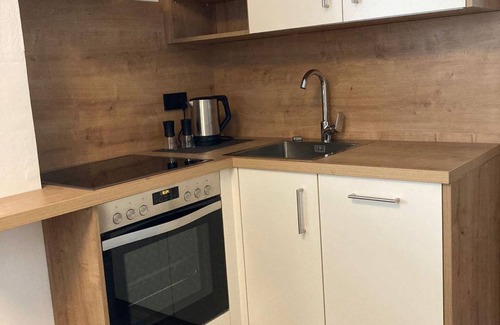 Muehlbach Am Hochkoenig Apartment | Apartment/2 bedrooms/shower, WC - Hallinger, Haus