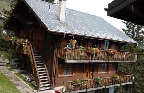Bettmeralp Apartment | Apartment Bärgblüemli 1- OG Ost by Interhome