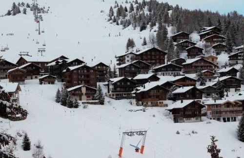 Bettmeralp Apartment | Apartment Bärgblüemli 1- OG Ost by Interhome
