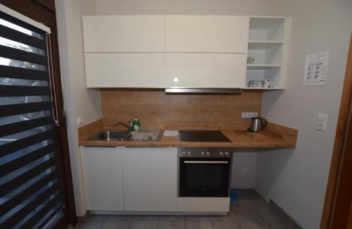 Seelberg Apartment | Apartment Bad Canstatt