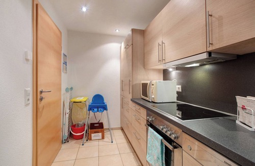 Todtnauberg Apartment | Apartment 'Bergahorn Typ B' with Mountain View, Private Terrace and Wi-Fi
