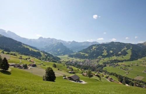 Lenk Apartment | Apartment Brandegg 4 by Interhome
