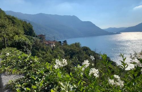 Pognana Lario Apartment | Apartment Casa Dono Il lago