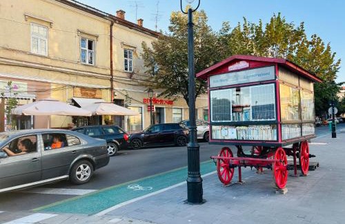 Satu Mare Apartment | Apartment Ceasul Electric