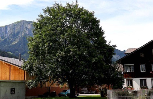 Lenk Apartment | Apartment ∙ 3 bedrooms ∙ 8 guests