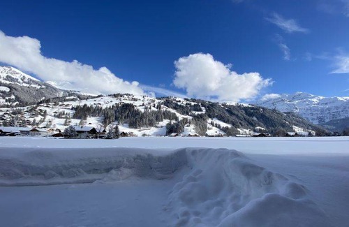Lenk Apartment | Apartment ∙ 1 bedroom ∙ 4 guests