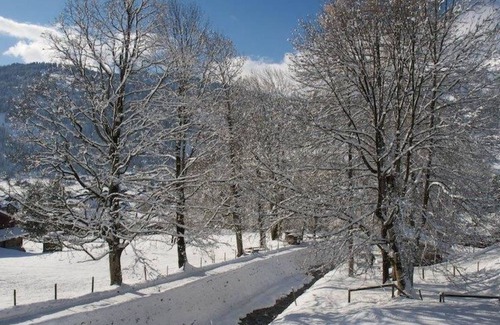 Lenk Apartment | Apartment ∙ 1 bedroom ∙ 4 guests