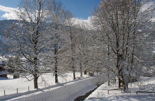 Lenk Apartment | Apartment ∙ 2 bedrooms ∙ 5 guests