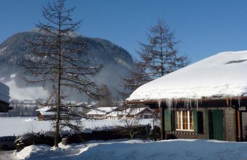Saanen Apartment | Apartment Chez-Nous by Interhome