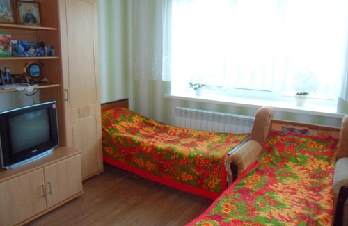 Diveevo Apartment | Apartment Chkalova