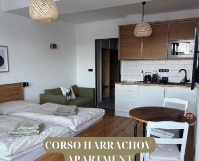 Korenov Apartment | Apartment Corso Harrachov