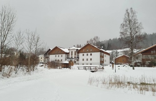 Bayerisch Eisenstein Apartment | Apartment (39sqm) with free WiFi and balcony