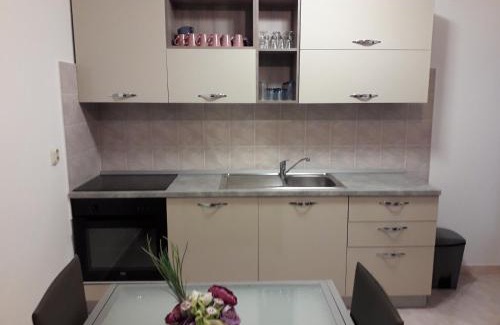 Mihotici Apartment | Apartment Eni