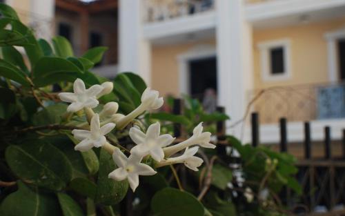 Agia Pelagia Apartment | Apartment for 4 Near the Beach - Crete