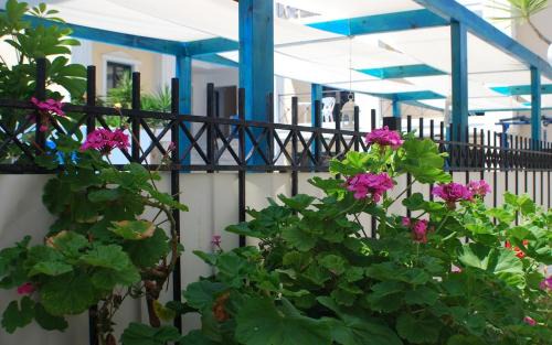 Agia Pelagia Apartment | Apartment for 4 Near the Beach - Crete