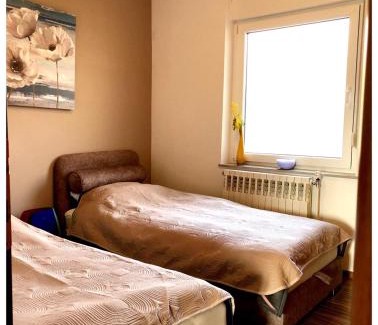 Buzdohanj Apartment | Apartment Galjanić
