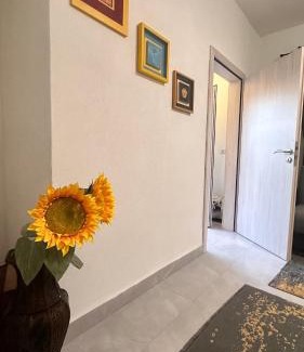 Çagllavicë Apartment | Apartment Garden