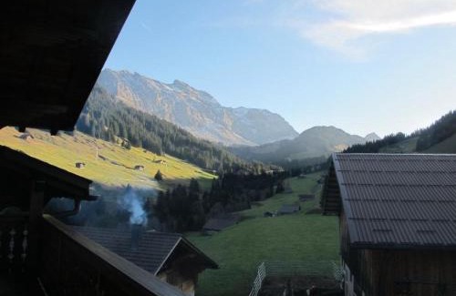Adelboden Apartment | Apartment Gilbachhöckli 2 by Interhome