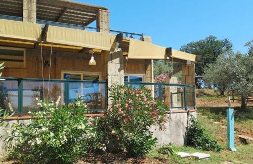 Guardistallo Apartment | Apartment Il Borgo-5 by Interhome