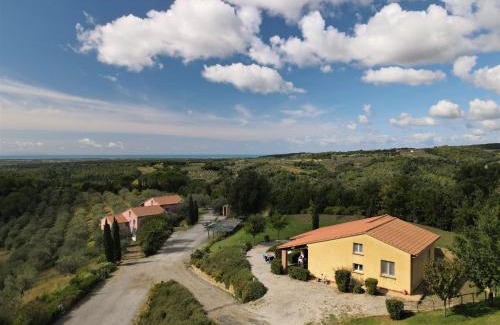 Riparbella Apartment | Apartment Il Felciaione-4 by Interhome