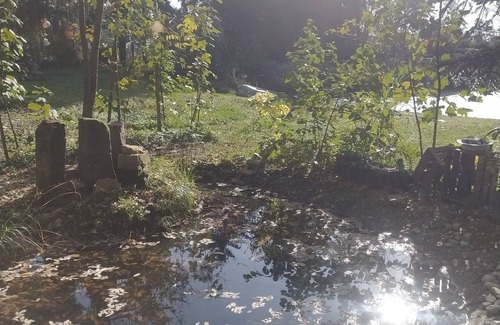 Boofzheim Apartment | Apartment in a house in the middle of nature and close to Europapark