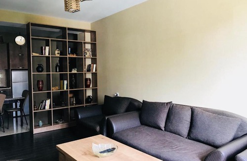 Bakurianis Andeziti Apartment | Apartment in Bakuriani Residence