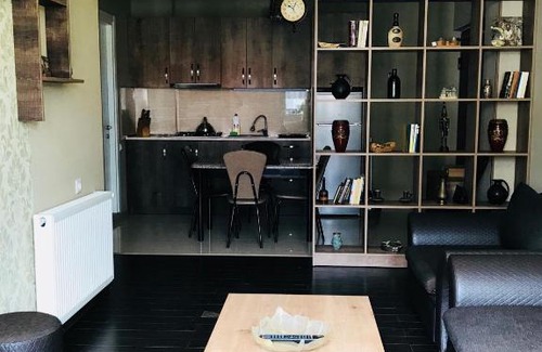 Bakurianis Andeziti Apartment | Apartment in Bakuriani Residence
