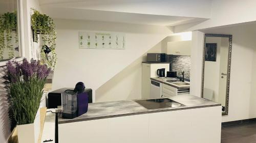 Rhein-Erft-Kreis District Apartment | Apartment in Erftstadt , Phantasialand Brühl bei Cologne, Zentral, Bahnhof nah