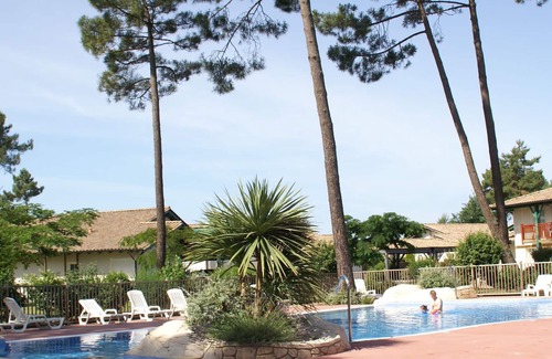 Gujan-Mestras Apartment | Apartment in greens, 6 km. from Gujan-Mestras