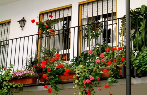 San Bartolome Apartment | Apartment in Historic district (Santa Cruz district). Wifi