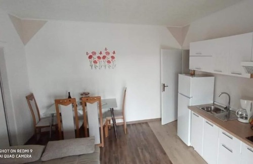 Buici Apartment | Apartment in Poreč with Terrace, Air condition, WIFI, Washing machine (3362-1)