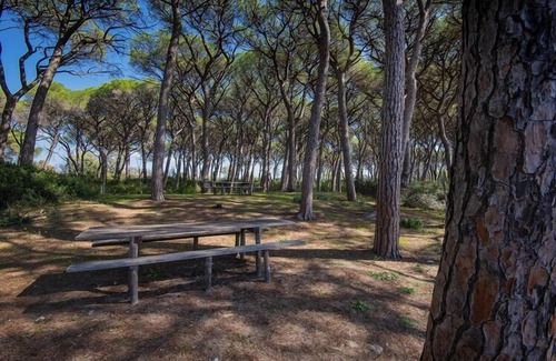 Riotorto Apartment | Apartment in Riotorto near the beach-formerly TUI Ferienhaus