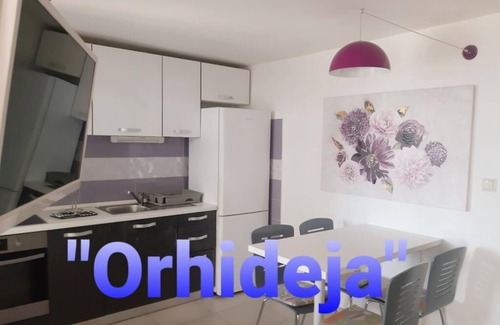 Slatine Apartment | Apartment in Slatine with Seaview, Terrace, Air condition, WIFI (5130-2)